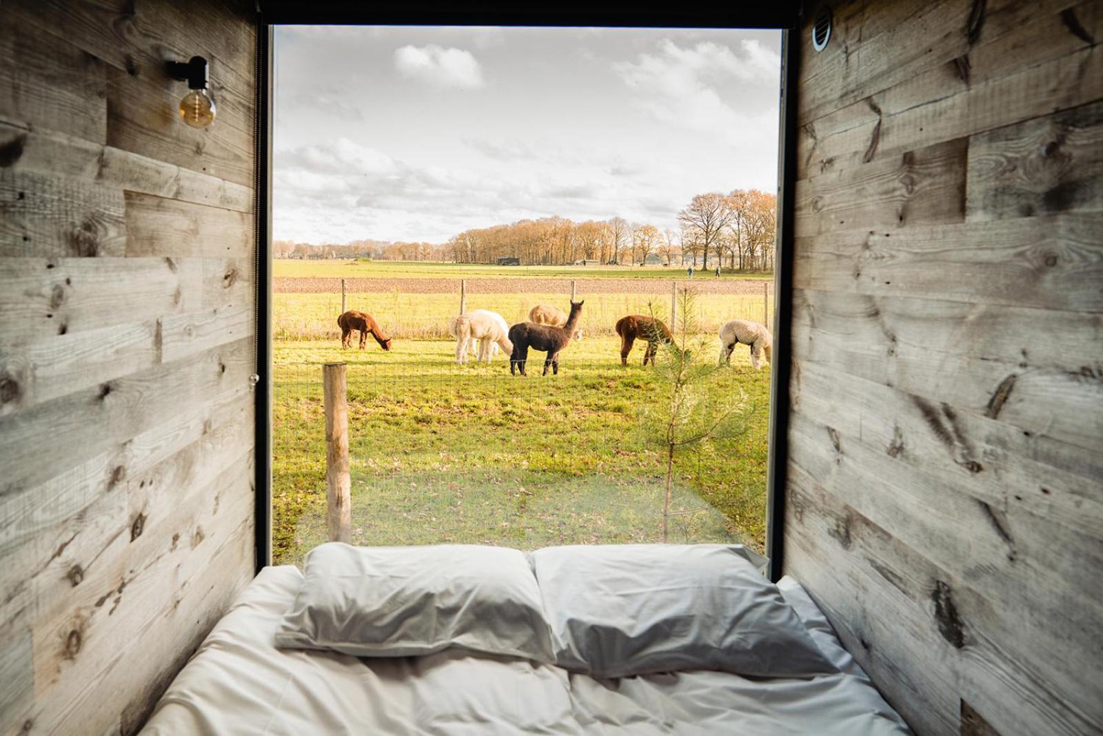 In De Hei Bed & Breakfast Mariahout Bagian luar foto